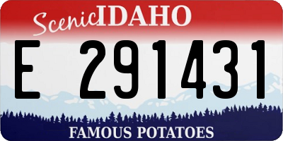 ID license plate E291431