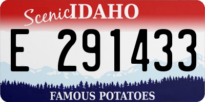 ID license plate E291433