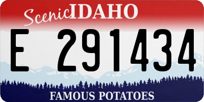 ID license plate E291434