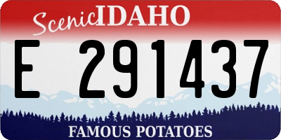 ID license plate E291437