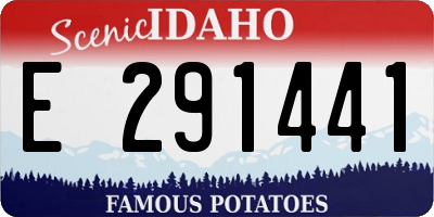 ID license plate E291441