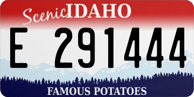 ID license plate E291444
