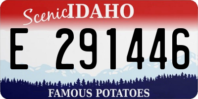 ID license plate E291446