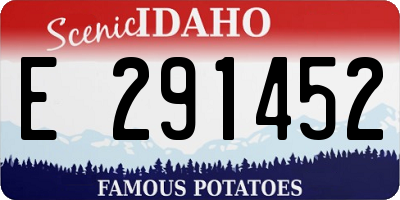ID license plate E291452