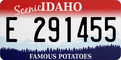 ID license plate E291455