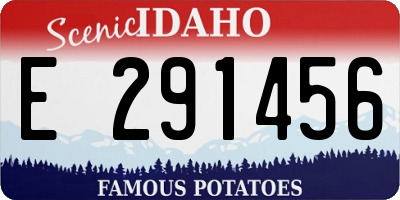 ID license plate E291456