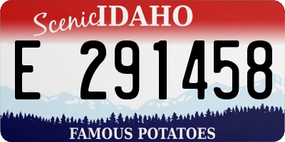 ID license plate E291458
