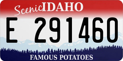ID license plate E291460