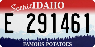 ID license plate E291461