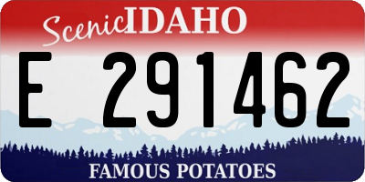 ID license plate E291462