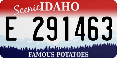 ID license plate E291463