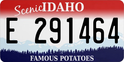 ID license plate E291464