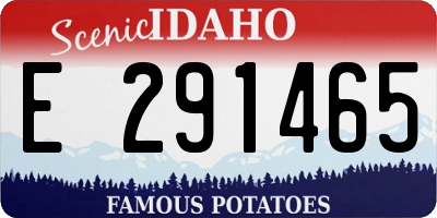 ID license plate E291465