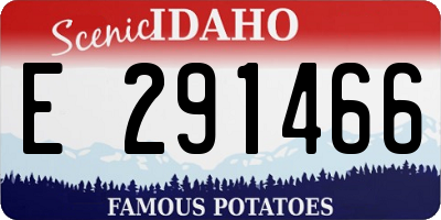 ID license plate E291466
