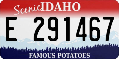 ID license plate E291467