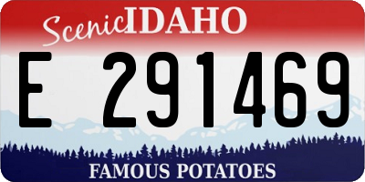 ID license plate E291469