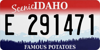 ID license plate E291471