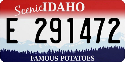 ID license plate E291472
