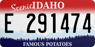 ID license plate E291474