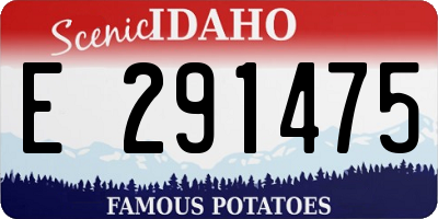 ID license plate E291475