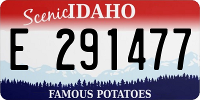 ID license plate E291477