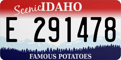 ID license plate E291478