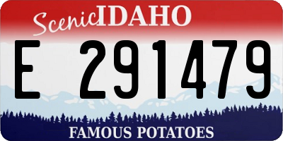 ID license plate E291479