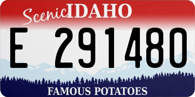 ID license plate E291480
