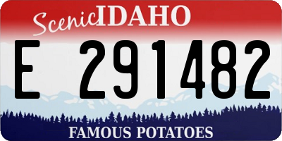 ID license plate E291482