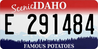 ID license plate E291484