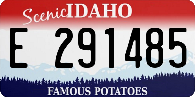 ID license plate E291485