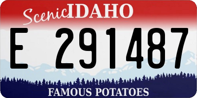 ID license plate E291487