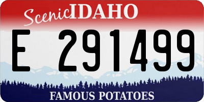 ID license plate E291499