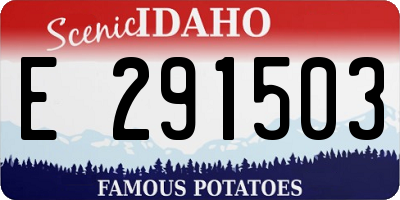 ID license plate E291503