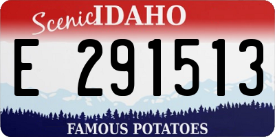 ID license plate E291513