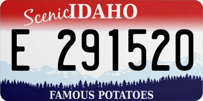 ID license plate E291520