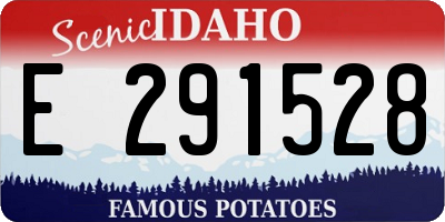 ID license plate E291528