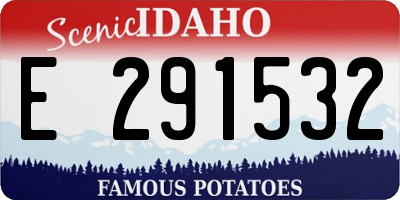 ID license plate E291532