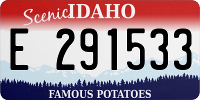ID license plate E291533