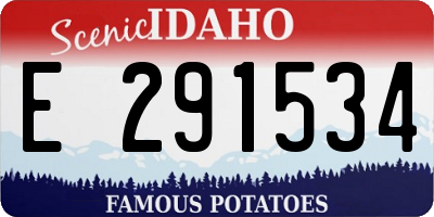 ID license plate E291534