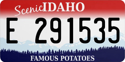 ID license plate E291535