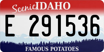 ID license plate E291536