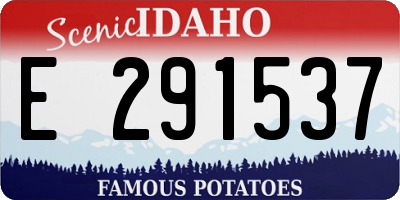 ID license plate E291537