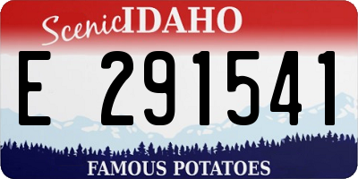 ID license plate E291541