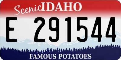 ID license plate E291544