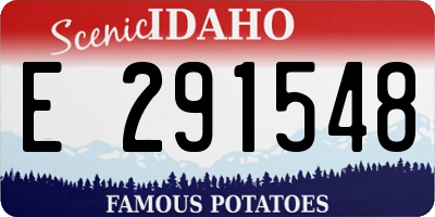 ID license plate E291548