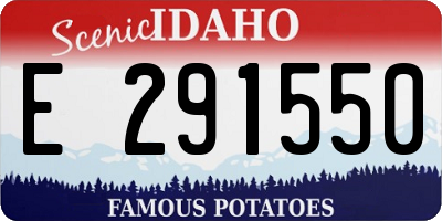 ID license plate E291550
