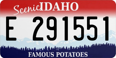 ID license plate E291551