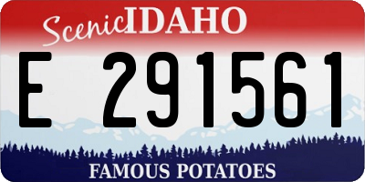 ID license plate E291561