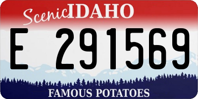 ID license plate E291569